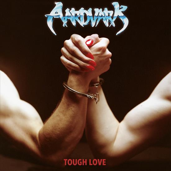 Aardvark - Tough Love 2024 - cover.jpg