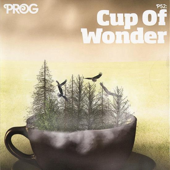 2017 Prog P52 - Cup of Wonder - Folder.jpg